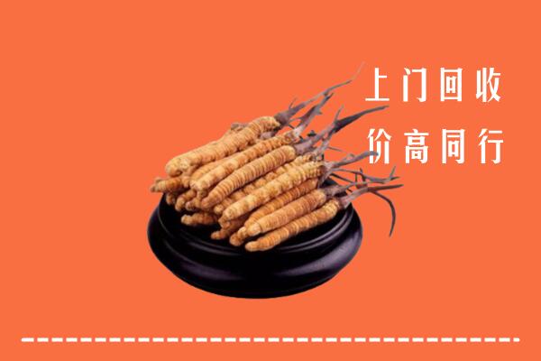 高价求购：泉港区回收散虫草