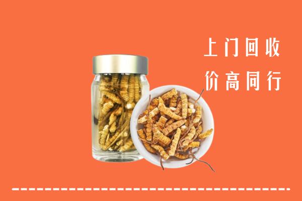 泉港区回收冬虫夏草