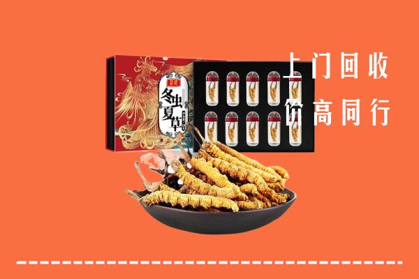 泉港区回收虫草